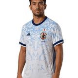 Japan Goku Crystal Blue Jersey